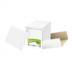 Papier A4 blanc naturel recyclé Evercopy + - 80 g - CIE 95 - ramette de 500  feuilles pas cher